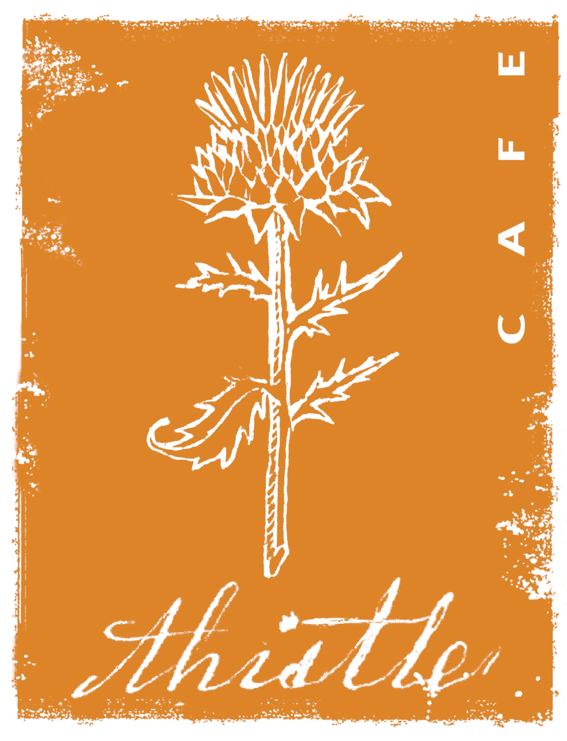 Thistle Cafe - Cafe in Austin